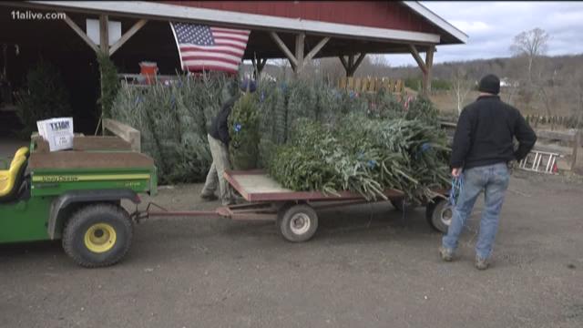Watering your Christmas tree can prevent a destructive home fire Watering your Christmas tree can prevent a destructive home fire